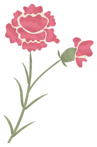 お花のイメージ