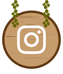 インスタグラムのアイコン
