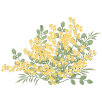 黄色い花のイラスト